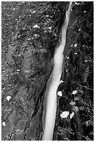 Six inch wide channel where the water of the Left Fork of the North Creek runs. Zion National Park, Utah, USA. (black and white)