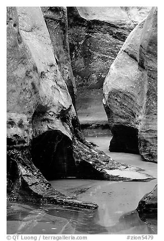 Pools and Rock walls sculptured by fast flowing water,  Subway, Left Fork of  the North Creek. Zion National Park, Utah, USA.