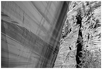 Sheer wall with desert varnish and wall with trees, Mystery Canyon. Zion National Park ( black and white)
