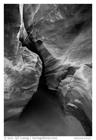 Sculpted canyon walls, Pine Creek Canyon. Zion National Park (black and white)