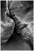 Sculpted canyon walls, Pine Creek Canyon. Zion National Park ( black and white)