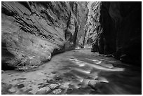 Narrows of the North Fork of the Virgin River. Zion National Park ( black and white)