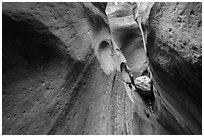 Chockstone and narrows, Keyhole Canyon. Zion National Park ( black and white)