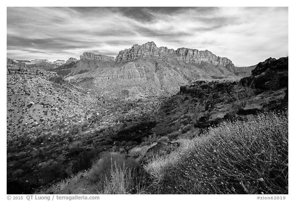 North Fork. Zion National Park (black and white)