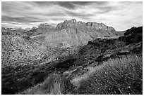 North Fork. Zion National Park ( black and white)