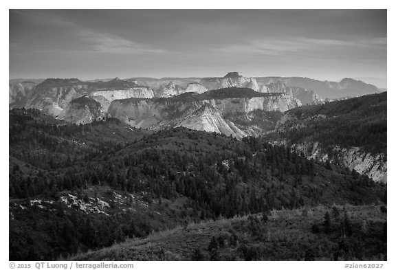 View over forests and canyons from Lava Point. Zion National Park (black and white)
