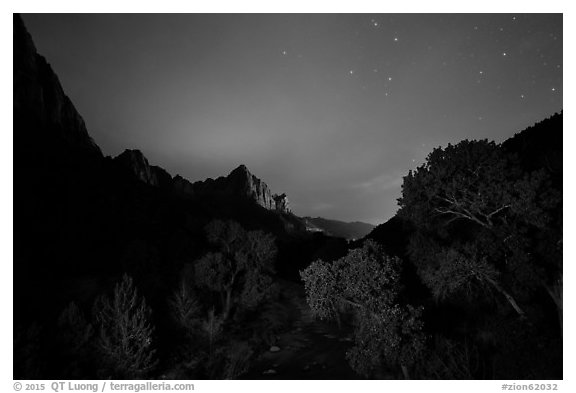 Trees and Watchman at night. Zion National Park (black and white)