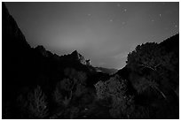 Trees and Watchman at night. Zion National Park ( black and white)