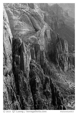 Rock towers bordering Zion Canyon from above. Zion National Park (black and white)