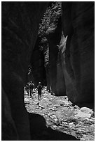 Hiking in narrow dry gorge, Orderville Canyon. Zion National Park ( black and white)