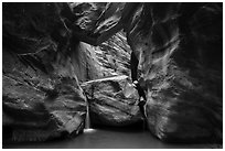 Large boulder creating waterfall with a second boulder suspended above, Orderville Canyon. Zion National Park ( black and white)