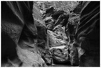 Boulder called Guillotine wedged in Orderville Canyon. Zion National Park ( black and white)