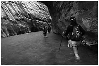 Hikers in Virgin River narrows passage without riverbank. Zion National Park ( black and white)