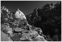 White Deertrap Mountain stands out amongst red sandstone. Zion National Park ( black and white)