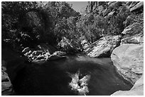 Swimming hole, Pine Creek. Zion National Park ( black and white)