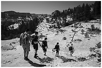 Hikers on slabs in Russell Gulch. Zion National Park ( black and white)