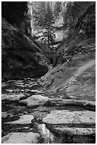 Stream and canyon walls, Left Fork. Zion National Park ( black and white)