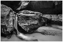 Waterfalls, Upper Subway. Zion National Park ( black and white)