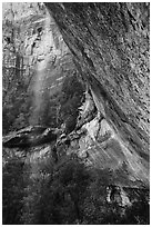 Water trickle and alcove above Emerald Pool in the spring. Zion National Park ( black and white)