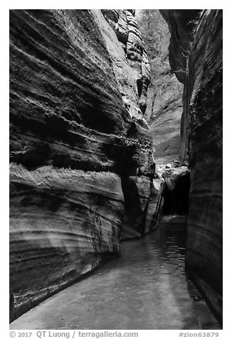 Narrow corridor, Upper Left Fork. Zion National Park (black and white)