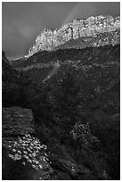 Rainbow over South Guardian Angel. Zion National Park ( black and white)