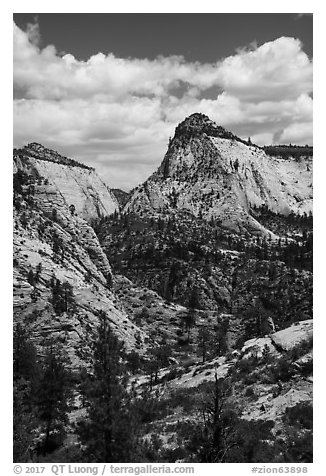 View from West Rim Trail. Zion National Park (black and white)