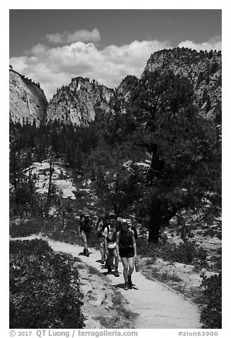 Backpackers on West Rim Trail. Zion National Park (black and white)