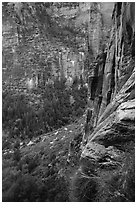 Cliff above Emerald Pools. Zion National Park ( black and white)