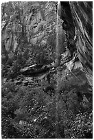 Waterfall above Lower Emerald Pool. Zion National Park ( black and white)