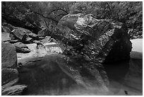 Dark boulder and reflection in Upper Emerald Pool. Zion National Park ( black and white)