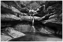 Pine Creek Falls. Zion National Park ( black and white)