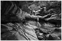 Pine Creek Canyon with waterfall. Zion National Park ( black and white)