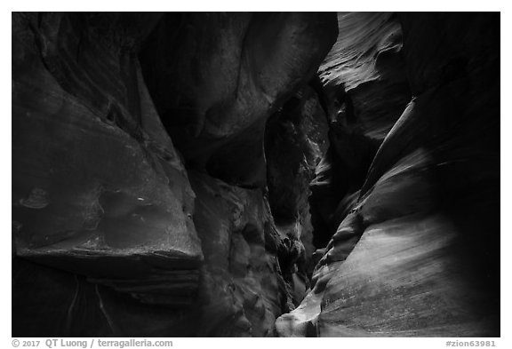 Sculptured slot canyon walls, Pine Creek Canyon. Zion National Park (black and white)