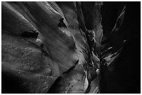 Narrow canyon walls sculptured by flash floods, Pine Creek Canyon. Zion National Park ( black and white)