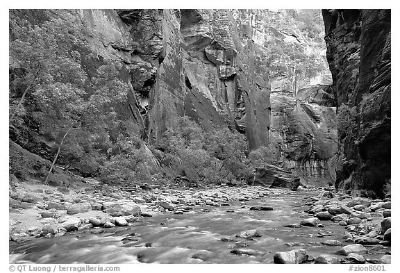 Virgin River flowing over stones in the Narrows. Zion National Park, Utah, USA.