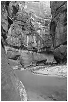 Riverbend in the Narrows. Zion National Park ( black and white)