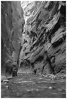 Slot canyon like walls, Wall Street, the Narrows. Zion National Park, Utah, USA. (black and white)