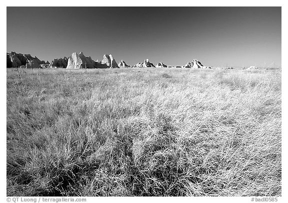 Tall grass prairie near Cedar Pass. Badlands National Park (black and white)