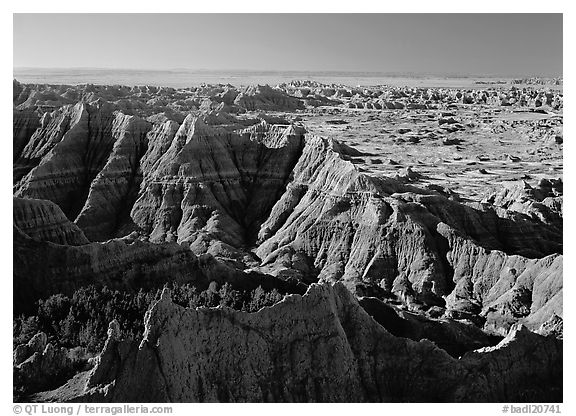 View from Pinacles overlook, sunrise. Badlands National Park (black and white)