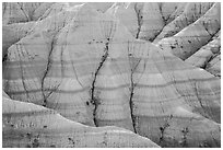 Paleosols fossil soils mixed with Brule Formation. Badlands National Park, South Dakota, USA. (black and white)