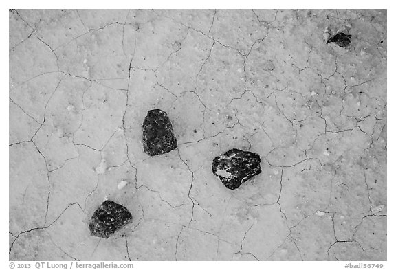Dark rock on soil with fine cracks. Badlands National Park (black and white)