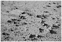 Rocks on flat, textured soil. Badlands National Park, South Dakota, USA. (black and white)