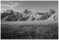 Grasses with summer flowers and buttes at sunset. Badlands National Park, South Dakota, USA. (black and white)
