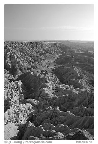 Looking east towards the The Stronghold table, South unit, morning. Badlands National Park (black and white)