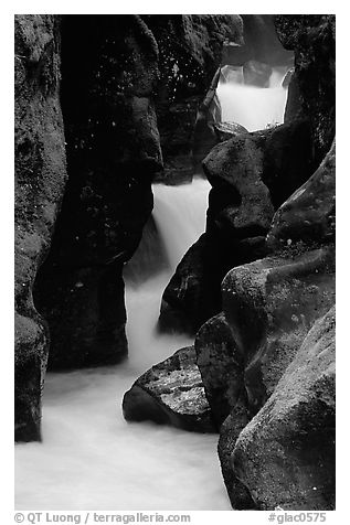 Stream cascading in narrow gorge, Avalanche creek. Glacier National Park (black and white)