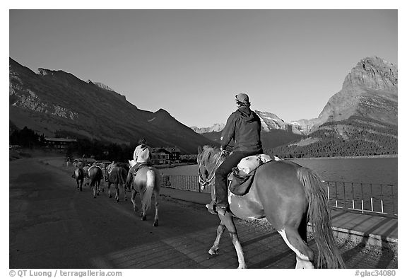 Horses on the shores of Swiftcurrent Lake, sunrise. Glacier National Park (black and white)