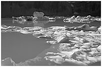 Icebergs and reflections in Upper Grinnell Lake. Glacier National Park, Montana, USA. (black and white)