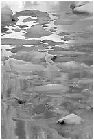Blue icebergs floating on reflections of rock wall, late afternoon. Glacier National Park, Montana, USA. (black and white)