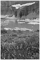 Wildflowers, Upper Grinnell Lake, and Salamander Falls and Glacier. Glacier National Park, Montana, USA. (black and white)