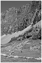 Couple hiking on trail amongst wildflowers near Hidden Lake. Glacier National Park, Montana, USA. (black and white)
